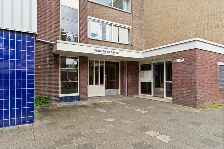 Foto 23 van Dikninge 109