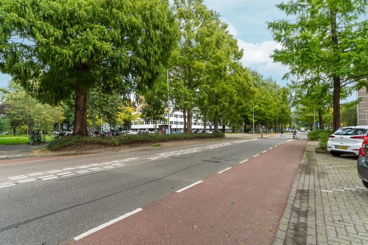 Foto 24 van Dikninge 109