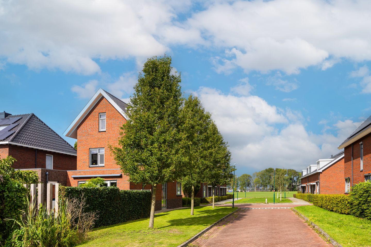 Foto 4 van De Wiese 29