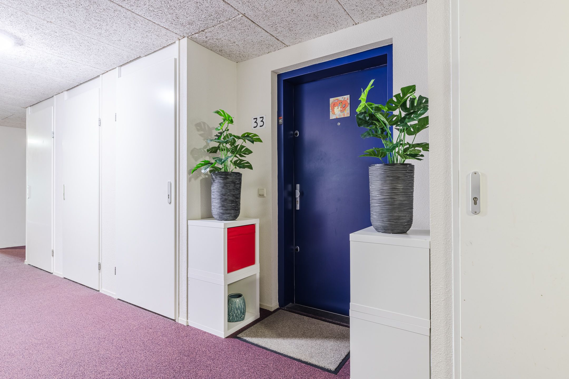 Foto 6 van Regenboog 33