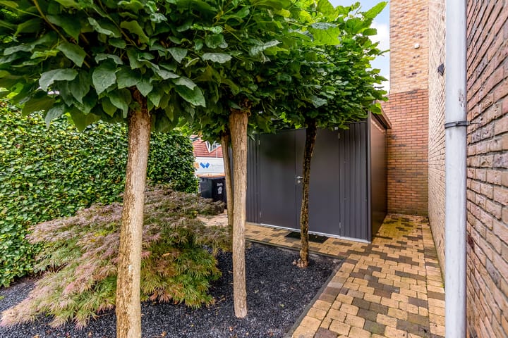 Foto 4 van Wielewaal 1