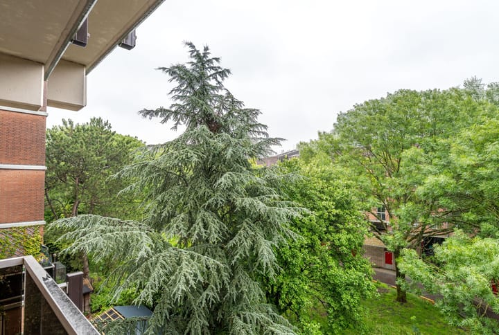 Foto 28 van Leerdamhof 328