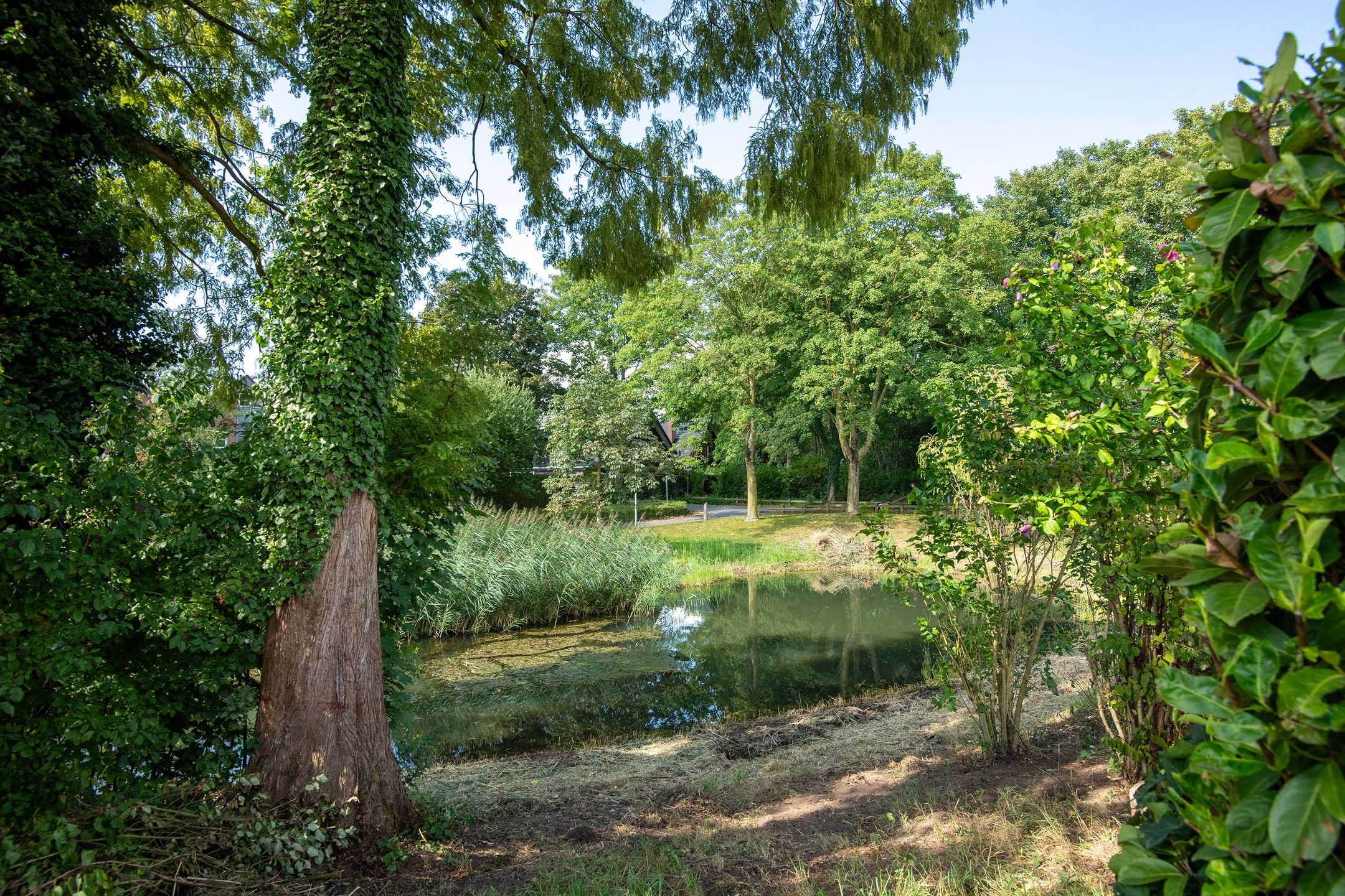 Foto 33 van Schoof 25