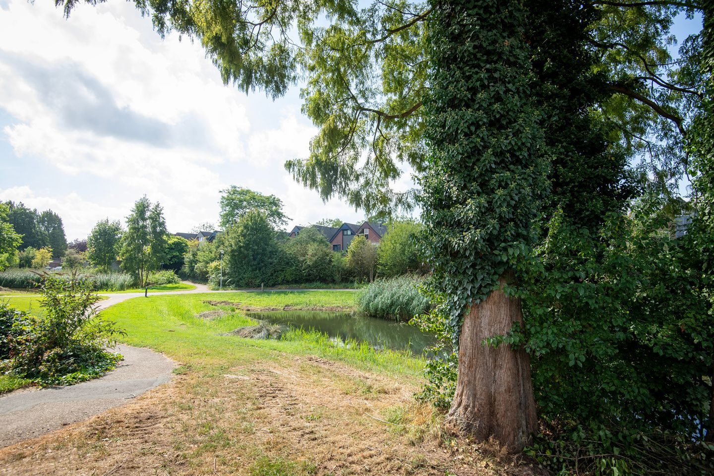 Foto 34 van Schoof 25