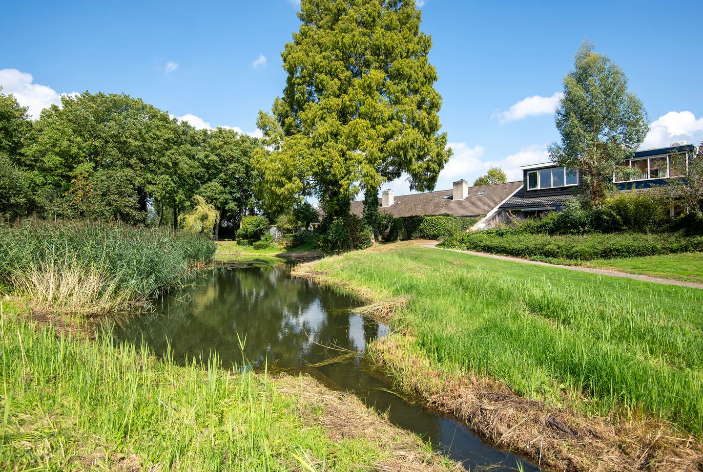 Foto 35 van Schoof 25