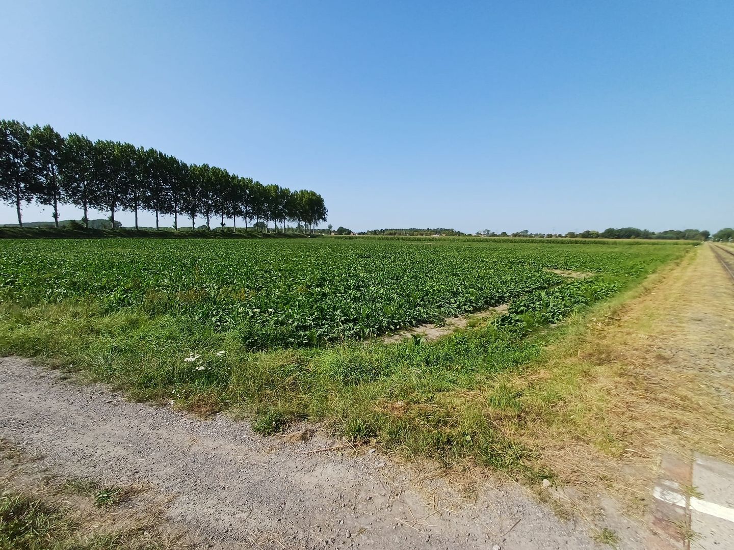 Bekijk foto 3 van Driekwartweg 2