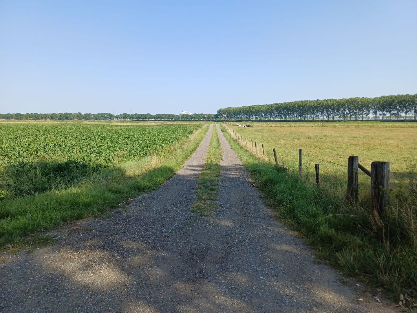Bekijk foto 5 van Driekwartweg 2