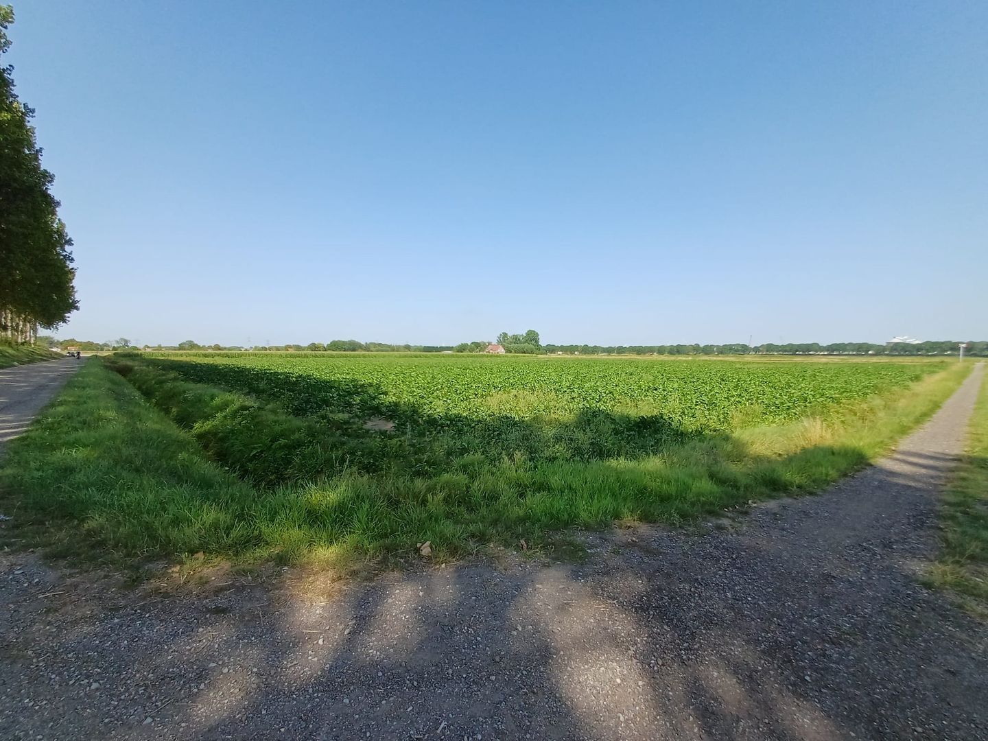 Bekijk foto 4 van Driekwartweg 2