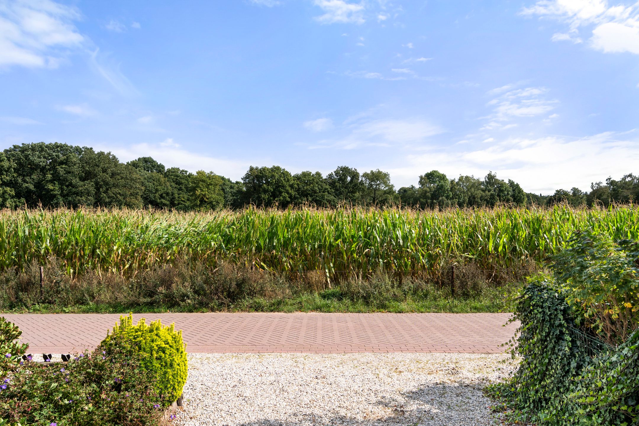 Foto 9 van Diedenweg 46