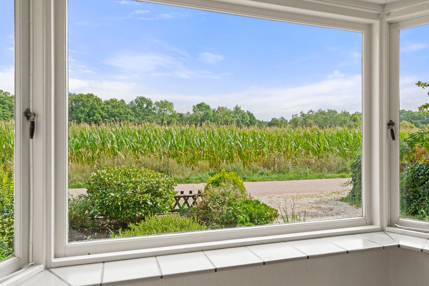 Foto 29 van Diedenweg 46