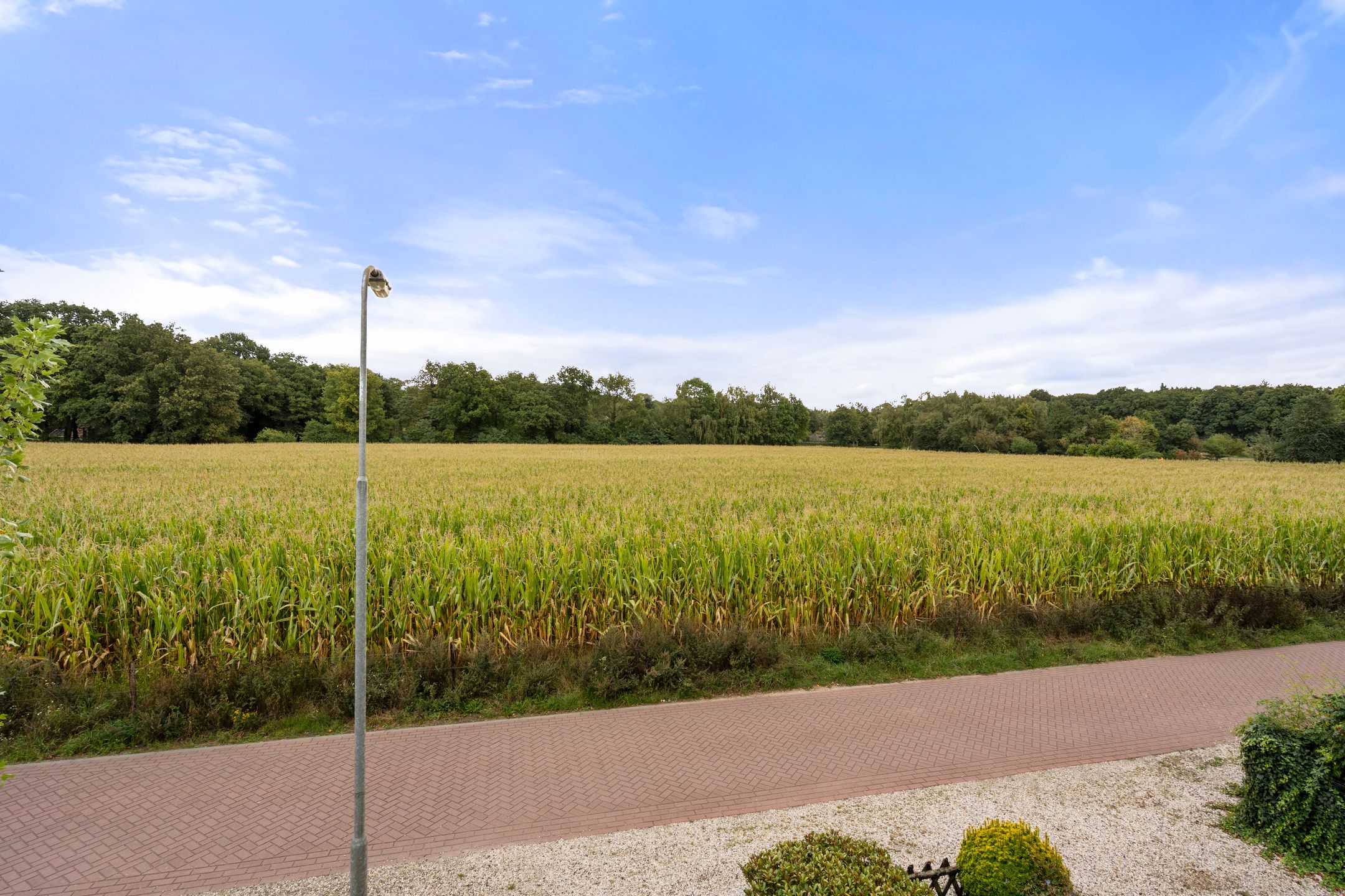 Foto 45 van Diedenweg 46