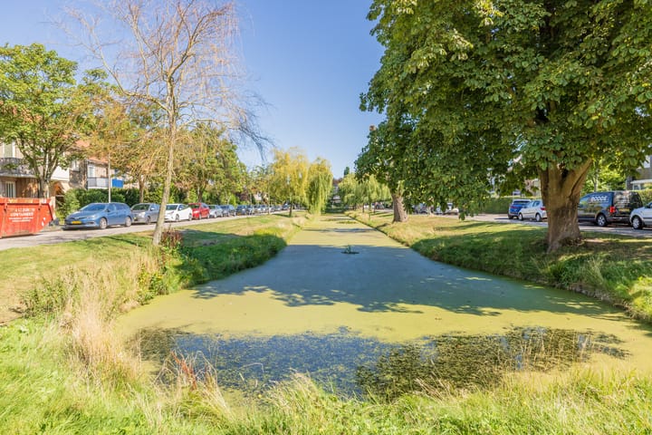 Photo 51 of Narcissenlaan 34