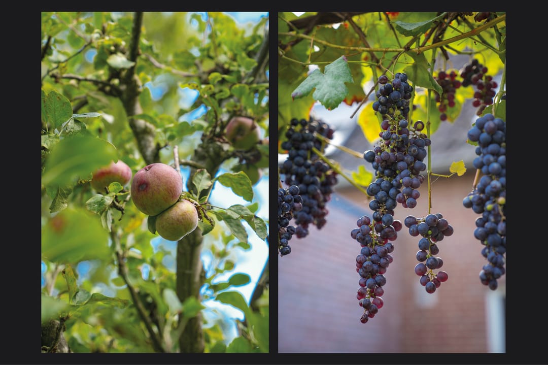 Foto 23 van Groenestraat 40