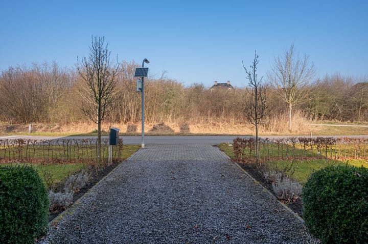 Foto 13 van Cantharel 13