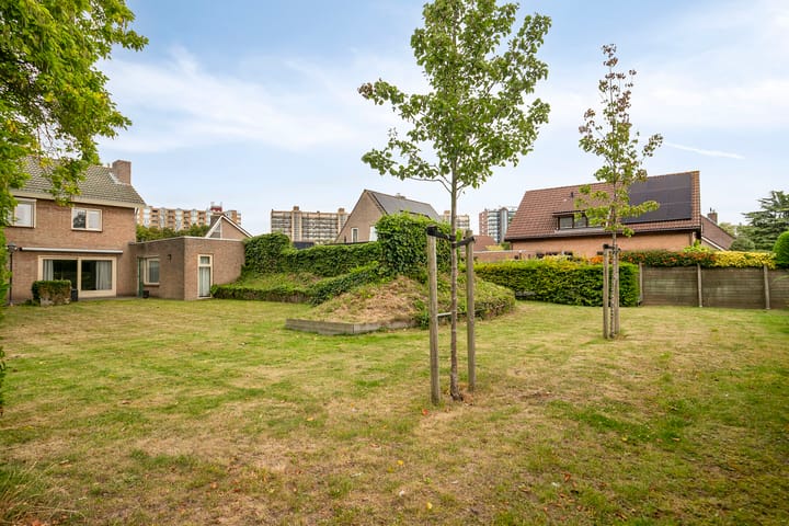 Foto 45 van Nassaustraat 12