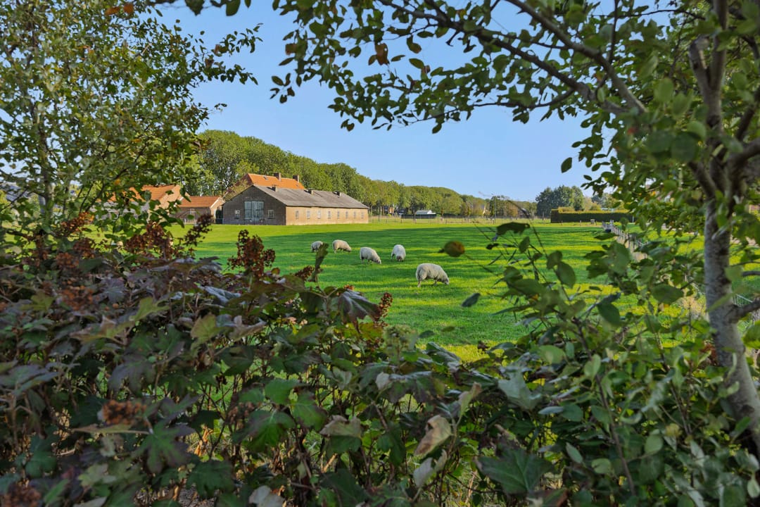 Photo 61 of Liesdaalweg 1