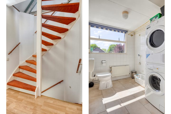 Foto 22 van Roerdomp 37