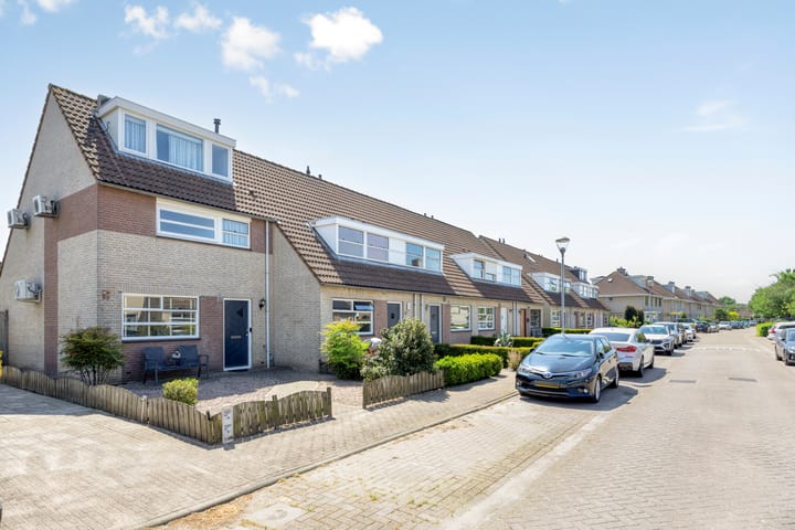 Foto 1 van Roerdomp 37