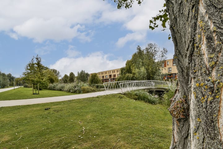 Foto 34 van van Maanenstraat 84