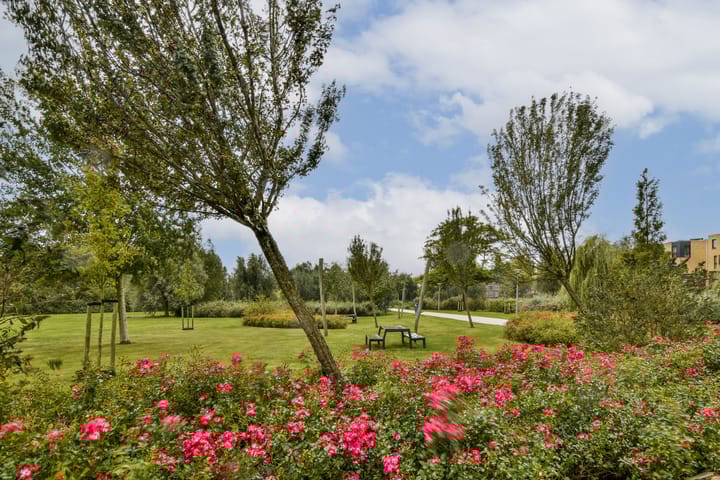 Foto 35 van van Maanenstraat 84