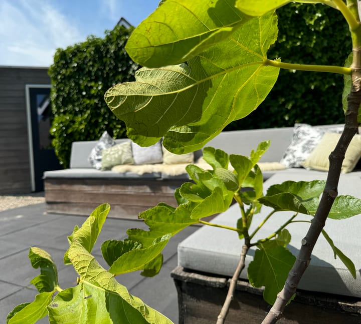 Foto 48 van Buitenbaardt 5