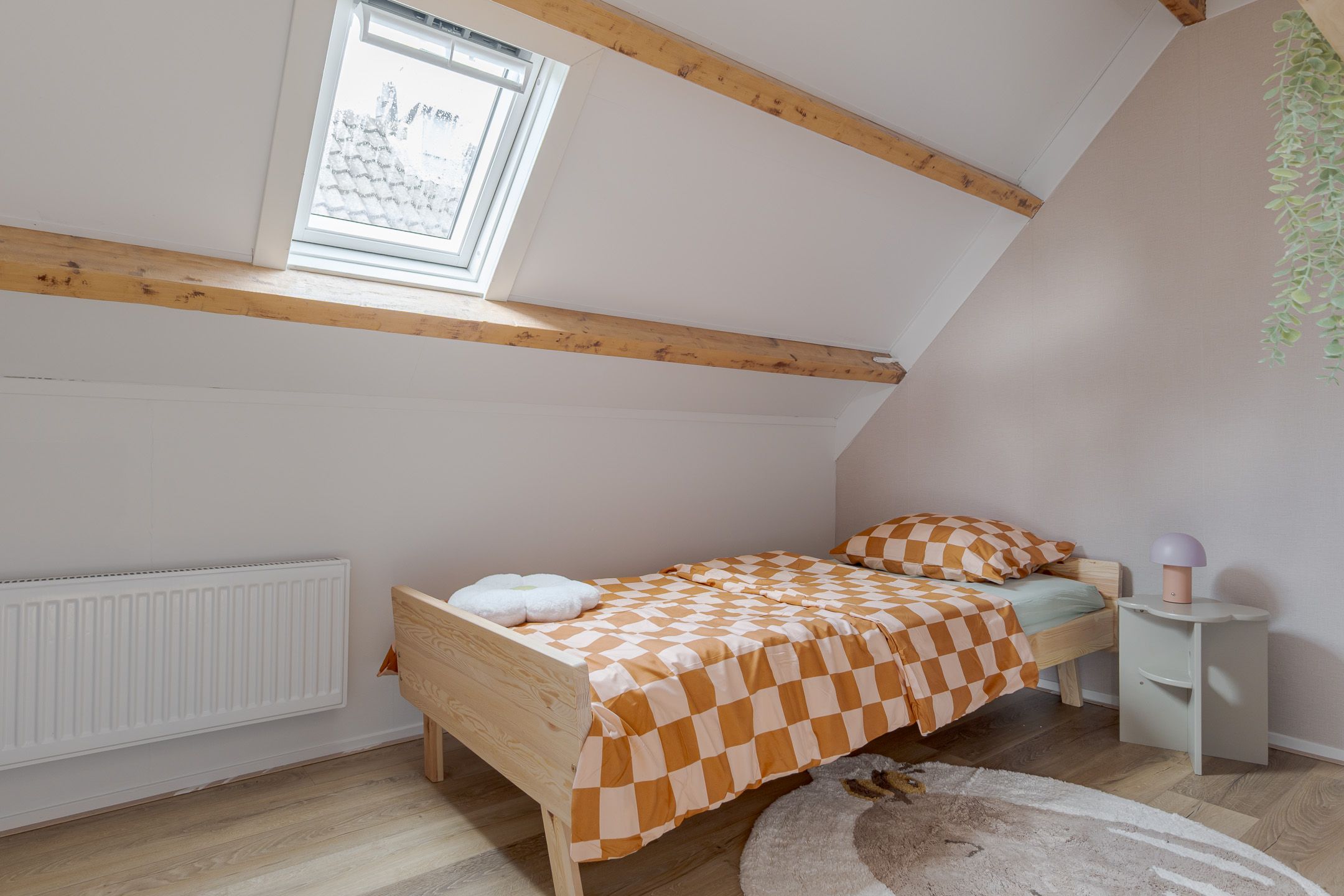 Foto 30 van Petrus Campersingel 31-17