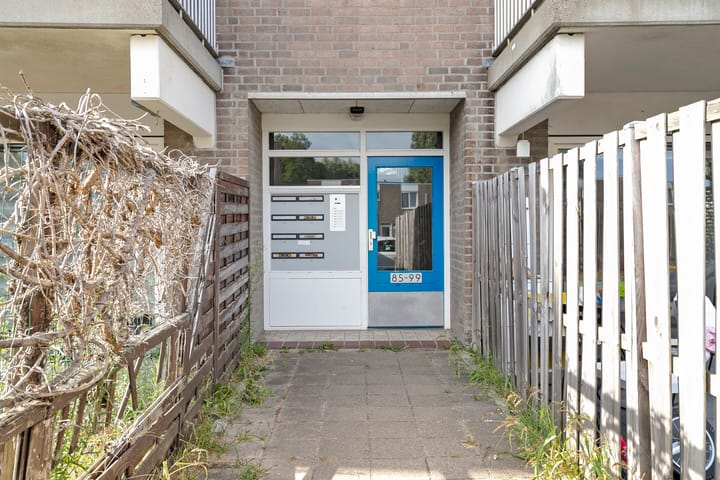 Photo 29 of Kopspoor 99