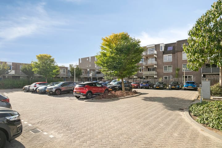 Photo 31 of Kopspoor 99