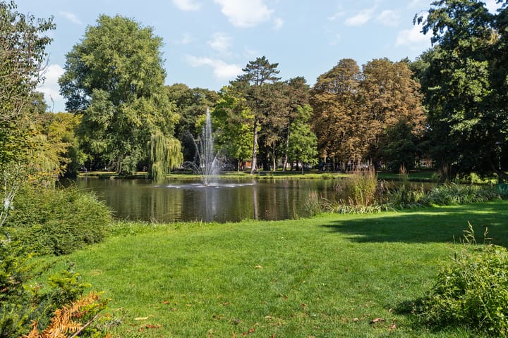 Foto 28 van Boomstraat 40