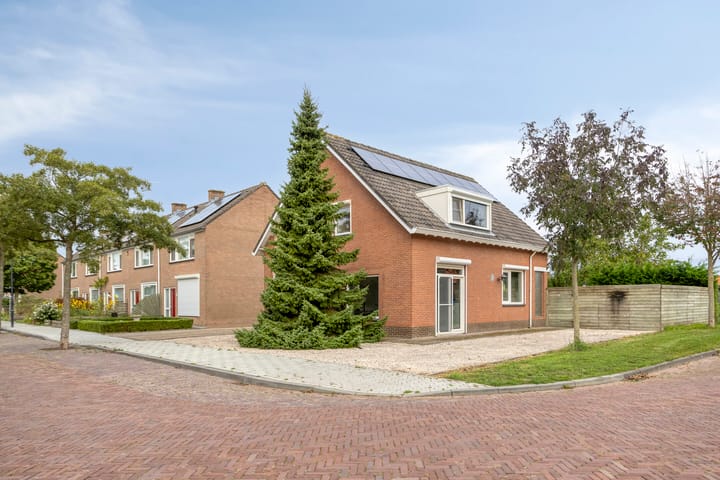 Foto 5 van Witte Dam 26