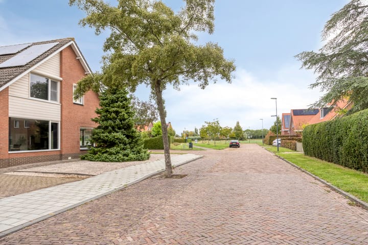 Foto 6 van Witte Dam 26