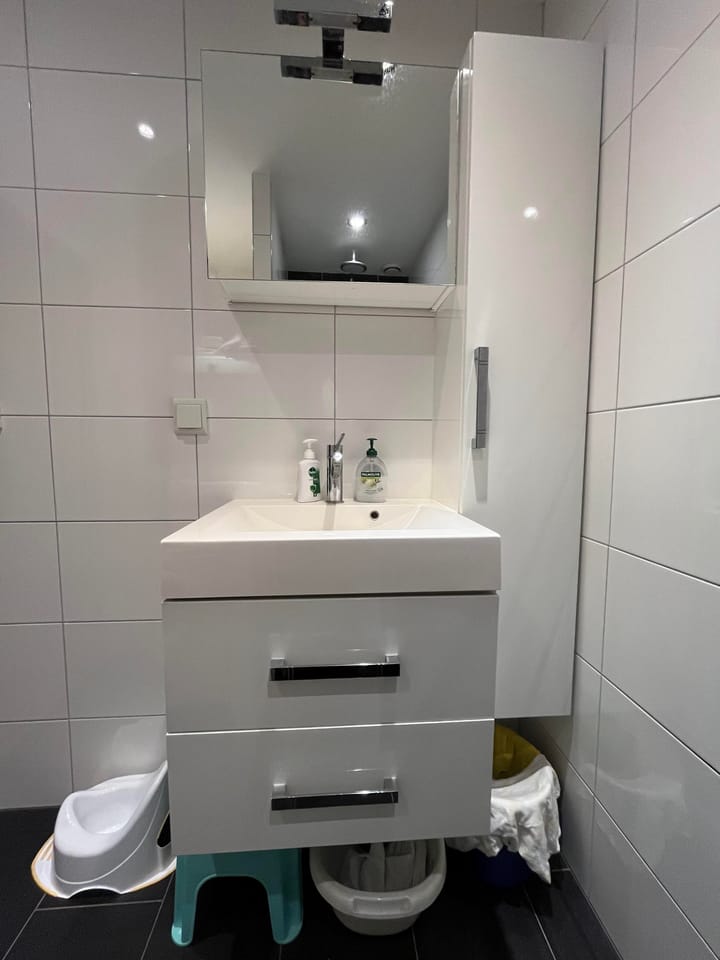 Foto 4 van Roland Holstlaan 1157