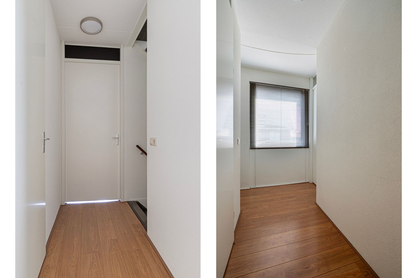 Photo 19 of Witte Emille 7