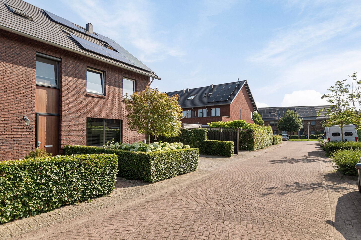 Photo 34 of Witte Emille 7