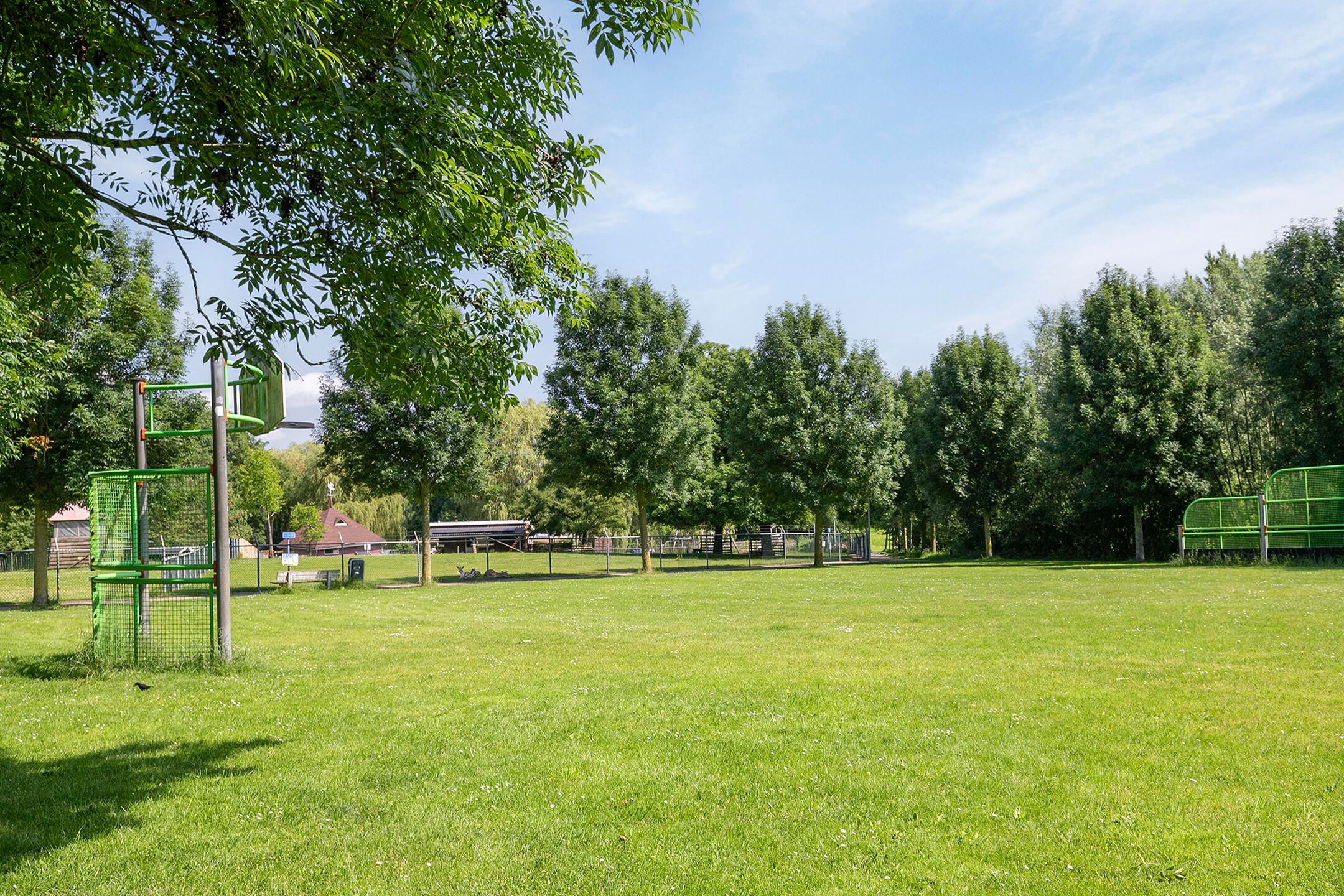 Photo 36 of Witte Emille 7