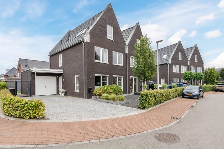 Foto 4 van Edelhert 1
