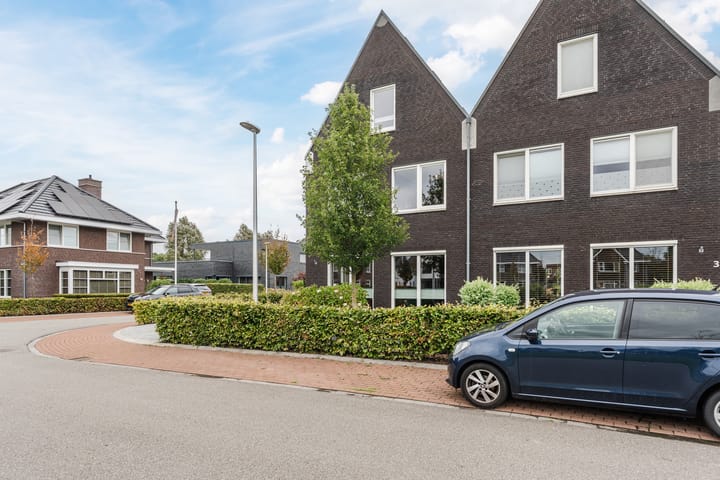 Foto 5 van Edelhert 1