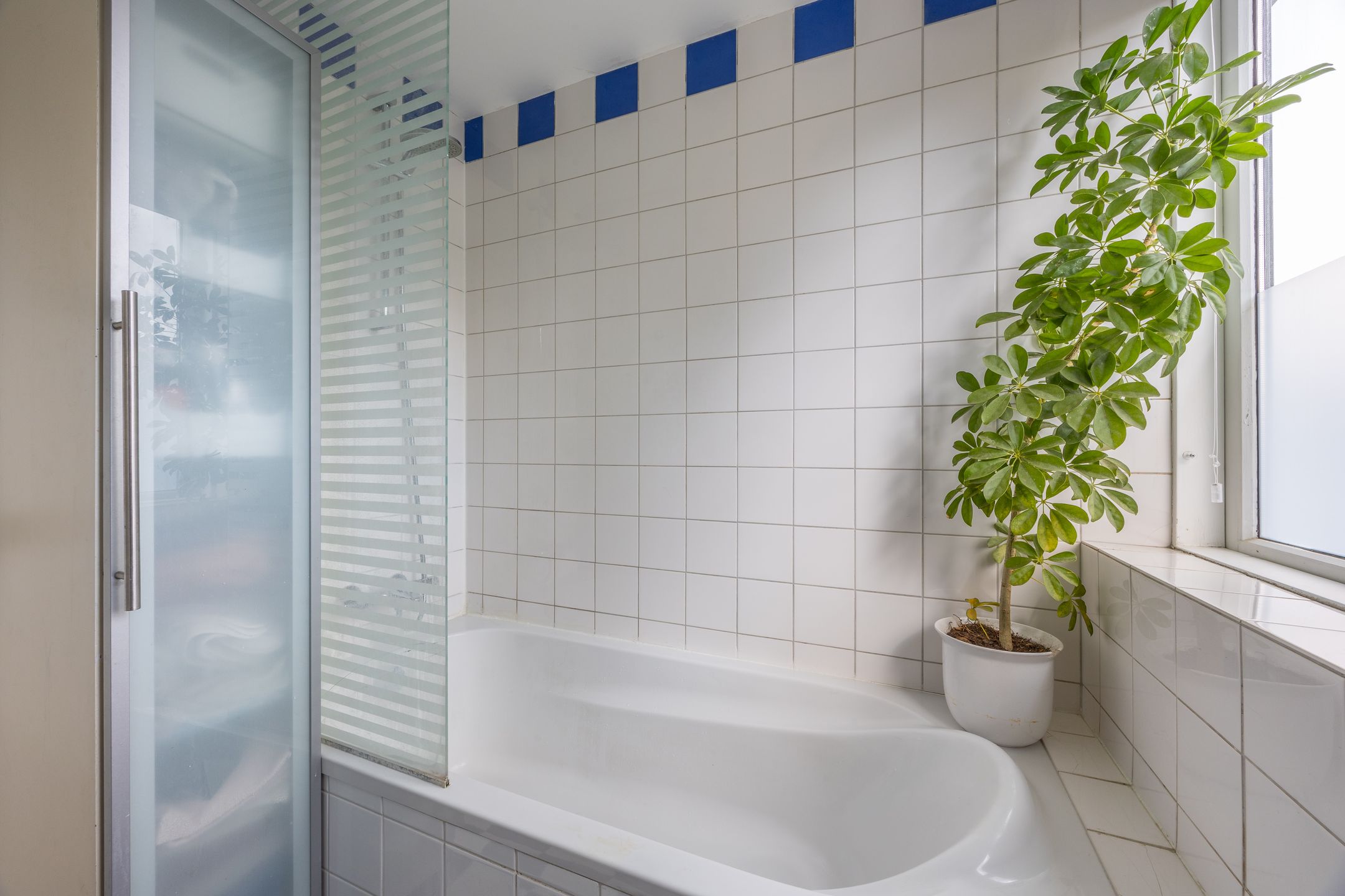 Foto 24 van Anemoonstraat 31