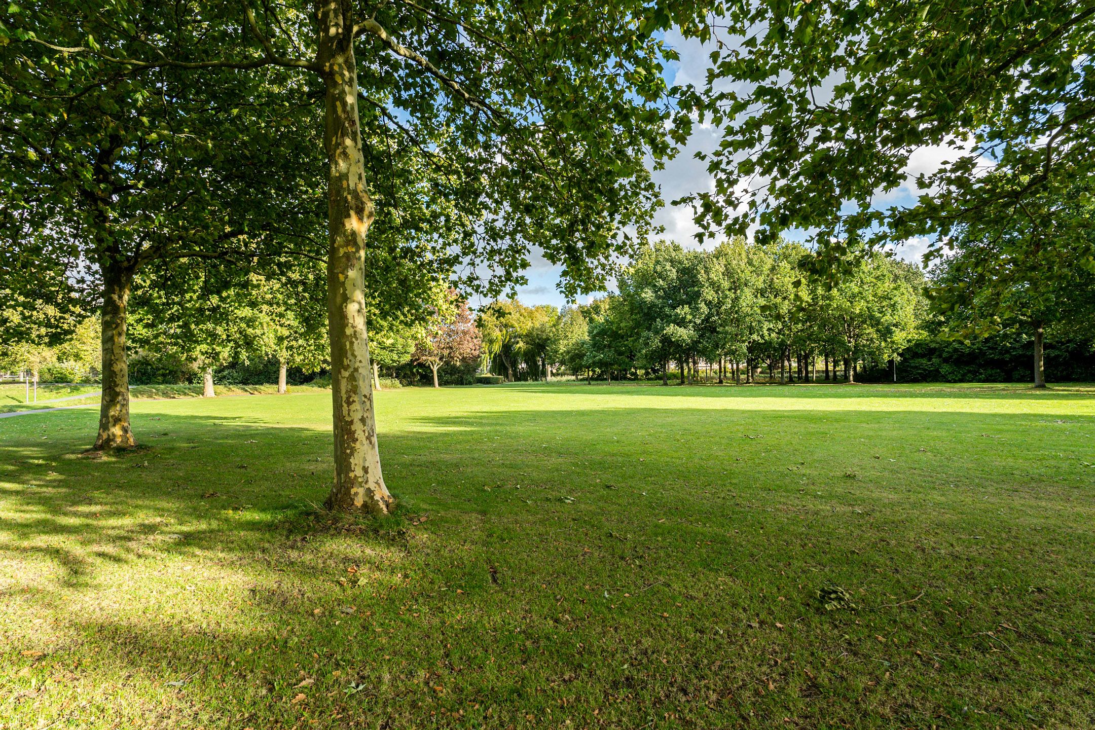 Foto 51 van Lommerbaan 108