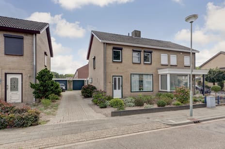 undefined main image