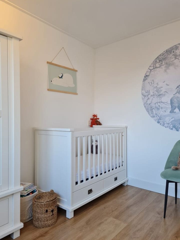 Foto 28 van Van 't Hoffstraat 55