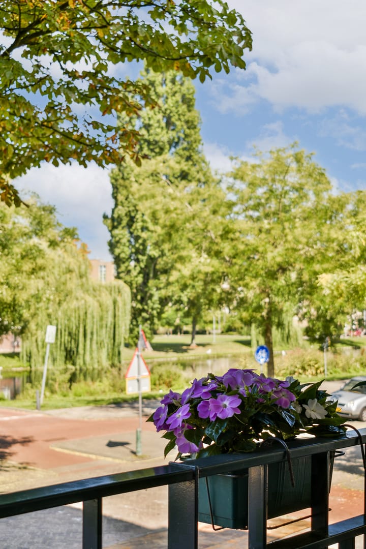 Foto 12 van Sophiakade 24