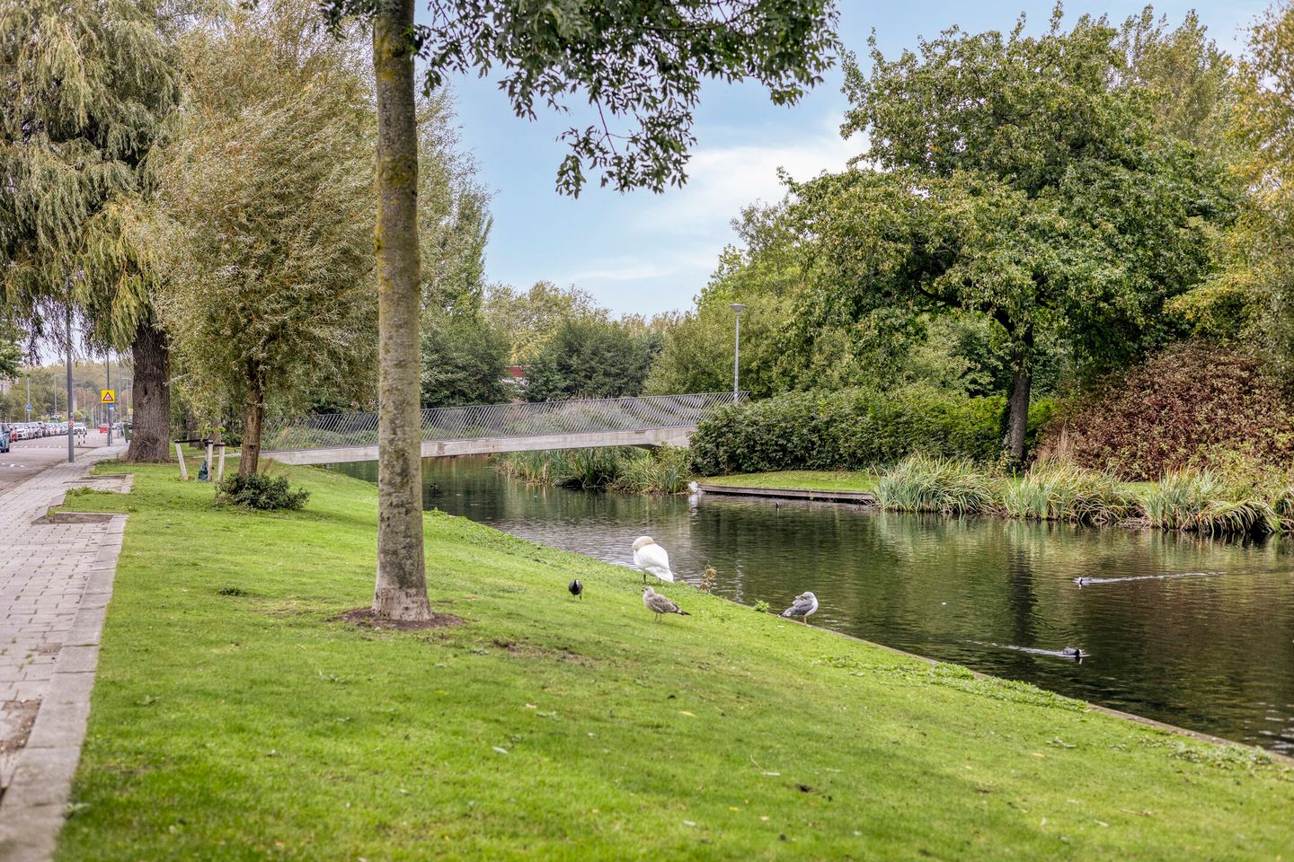 Photo 29 of Ogierssingel 265