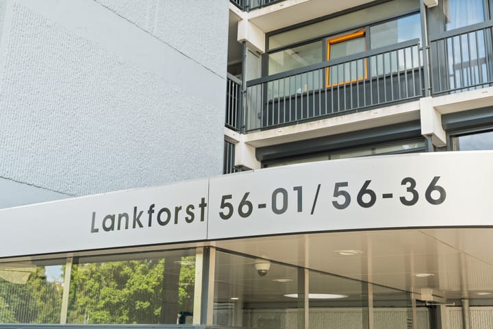 Foto 4 van Lankforst 5617