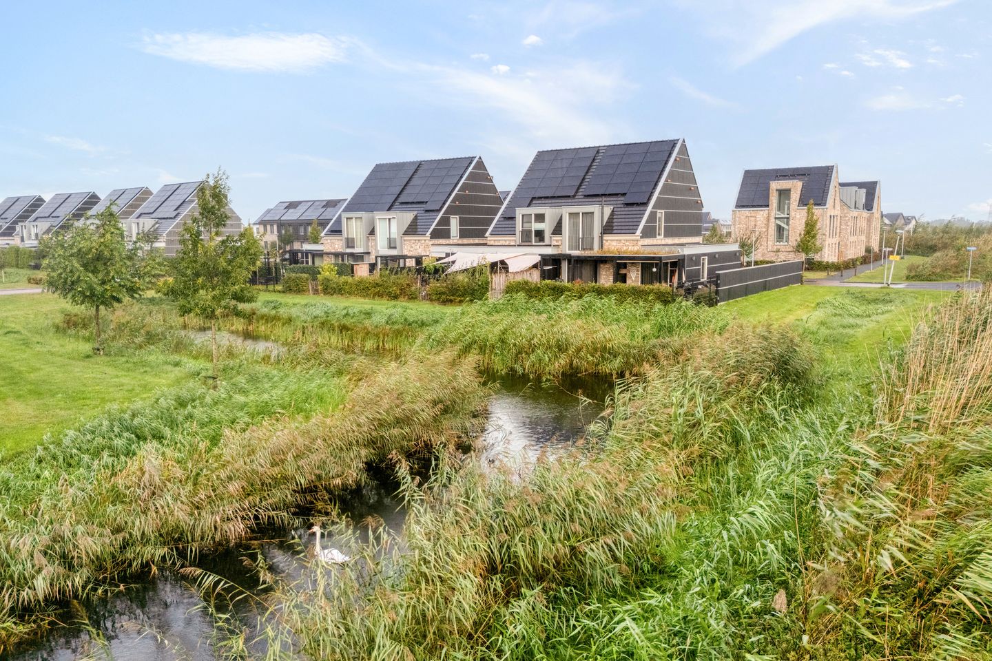 Foto 4 van Boormolen 3