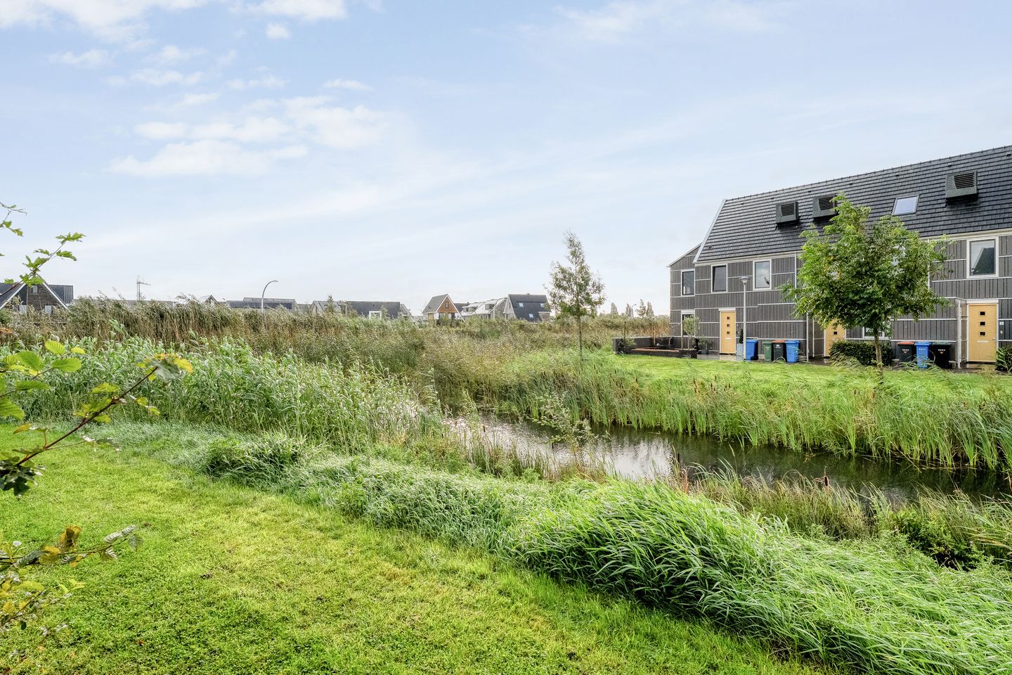 Foto 50 van Boormolen 3