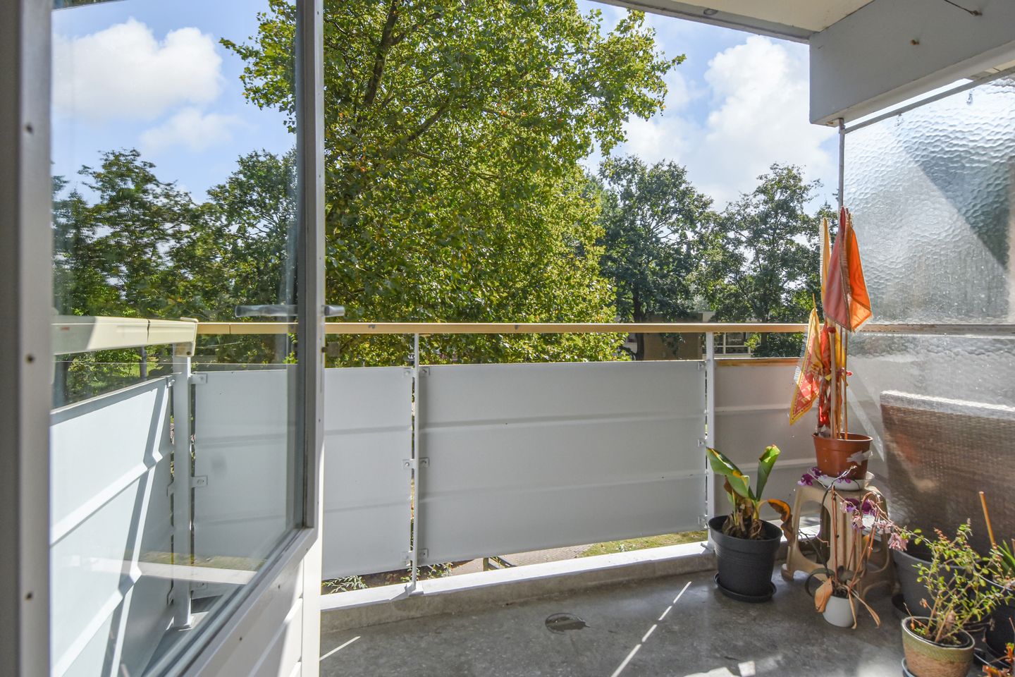 Foto 25 van Kadoelerbos 18