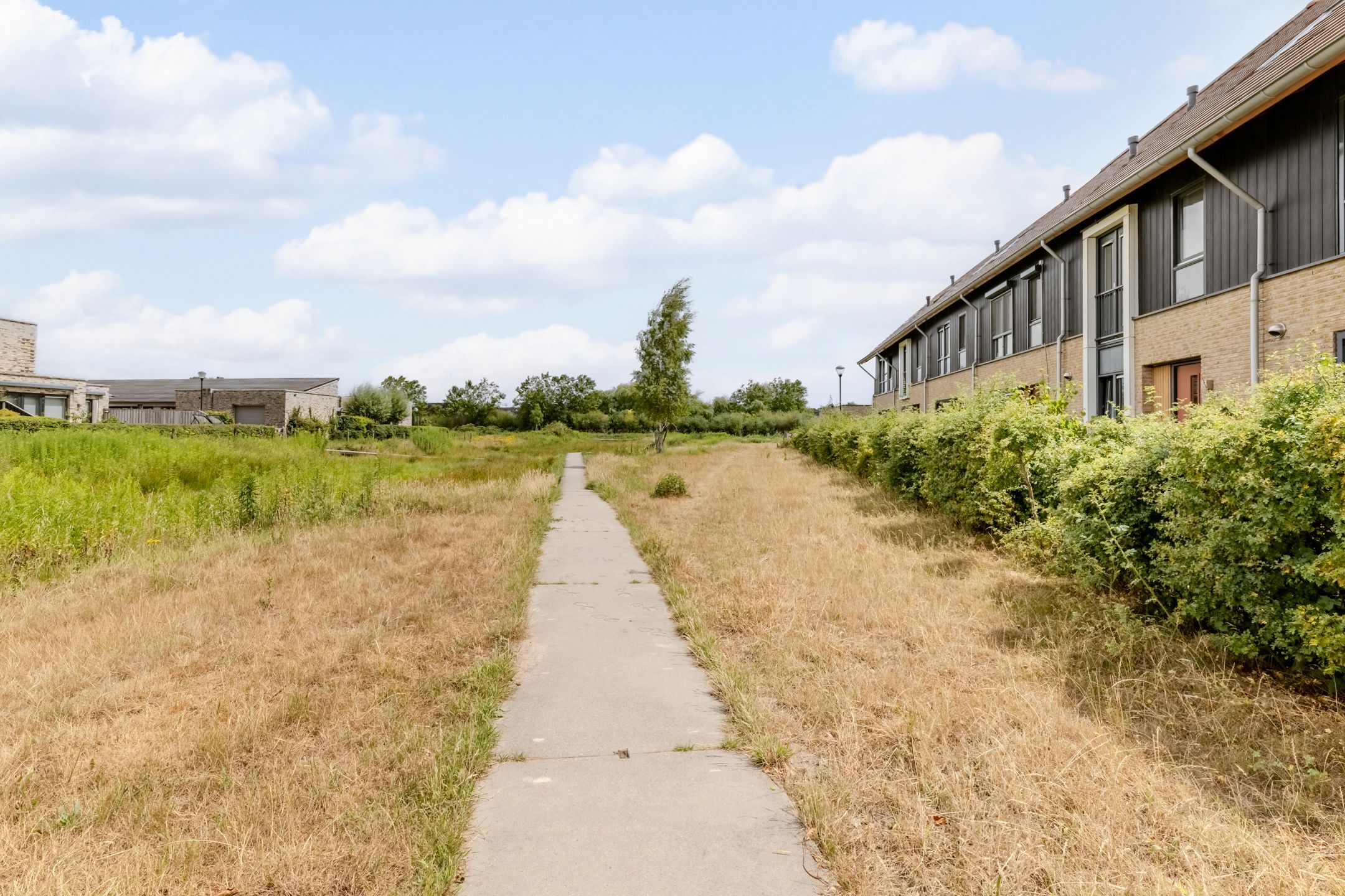 Foto 27 van Zeddamerf 37