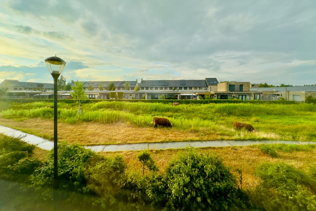 Foto 28 van Zeddamerf 37