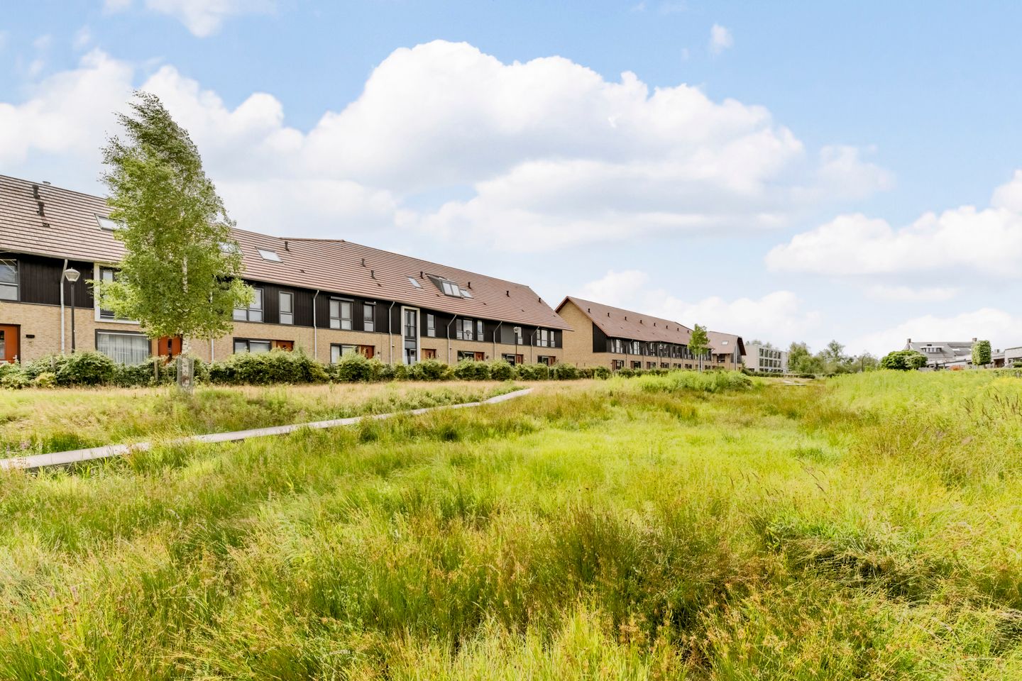 Foto 29 van Zeddamerf 37